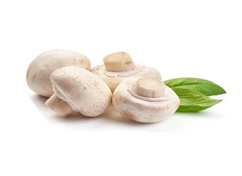 قیمت قارچ دکمه ای کیلویی