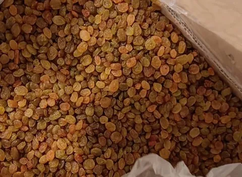 قیمت کشمش پلویی کارتونی