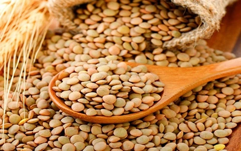 قیمت خرید عدس ایرانی + مزایا و معایب