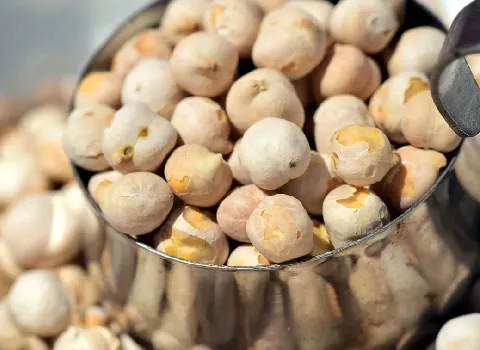 قیمت نخود ریز محلی