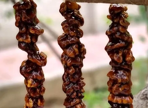 شیرینی سجوق تبریز همراه با توضیحات کامل و آشنایی