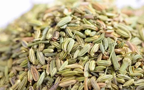 زیره سبز کوهی (ادویه) ضد التهاب ضد عفونی کننده شیار قهوه ای 2 میلی متر