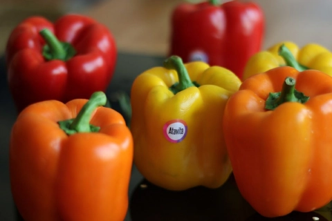 فلفل دلمه ای پاپریکا + قیمت خرید، کاربرد، مصارف و خواص