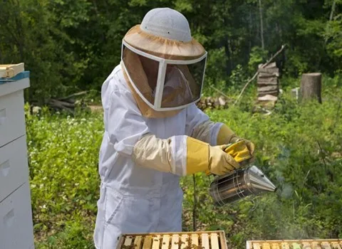 لیست قیمت لباس زنبورداری یک تکه به صورت عمده و با صرفه