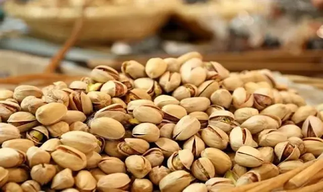 پسته قزوین امروز؛ حاوی آهن پتاسیم ویتامین آنتی اکسیدان درمان کم خونی