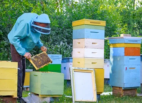 قیمت خرید عمده لباس زنبورداری بچه گانه ارزان و مناسب