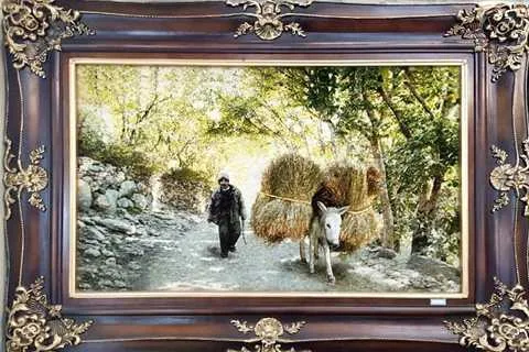 تابلو فرش زرع نیم؛ پشمی ابریشمی 2 نوع ماشینی سنتی سایز 1*1.5 متر