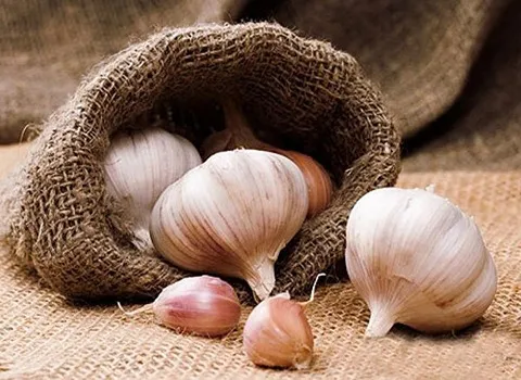 قیمت خرید سیر خام از تولید به مصرف به صورت عمده و فله