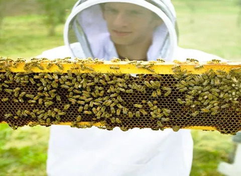 قیمت و خرید لباس زنبورداری فضایی با مشخصات کامل