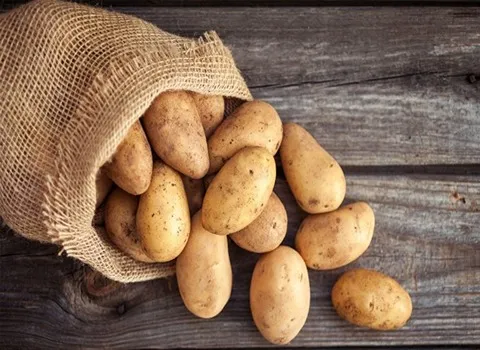 خرید سیب زمینی شیرین اصفهان + قیمت عالی با کیفیت تضمینی