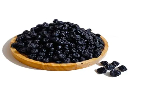بلوبری خشک شده همراه با توضیحات کامل و آشنایی