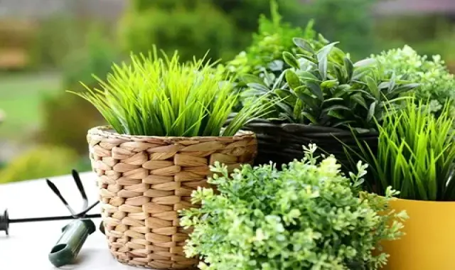 سبد حصیری گلدان؛ کوچک بزرگ بادوام محکم Wicker basket