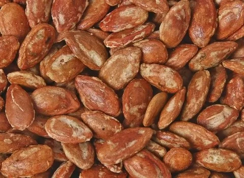 قیمت تخمه ژاپنی + خرید و فروش تخمه ژاپنی با کیفیت عمده