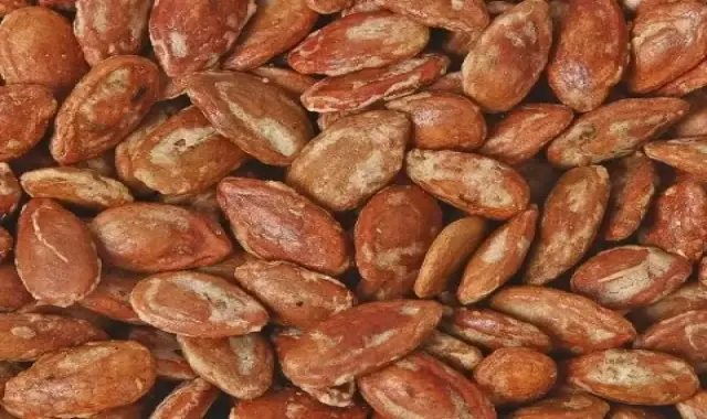 قیمت تخمه ژاپنی + خرید و فروش تخمه ژاپنی با کیفیت عمده