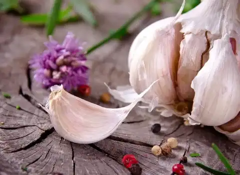 قیمت خرید سیر خام از تولید به مصرف