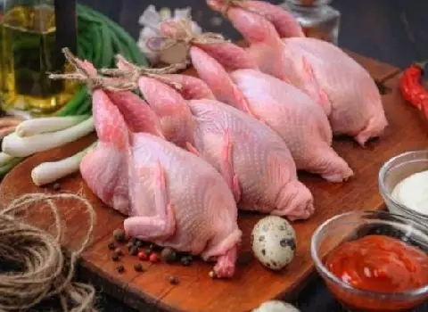 گوشت بلدرچین | فروشندگان قیمت مناسب گوشت بلدرچین