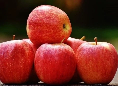 خرید سیب درختی تهران + قیمت عالی