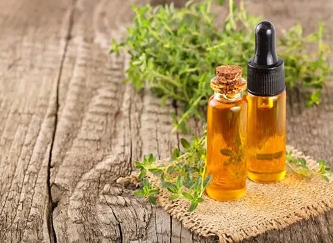 قیمت خرید اسانس گیاه باریجه + عکس