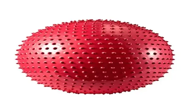 بهترین قیمت خرید توپ ورزشی جیم بال