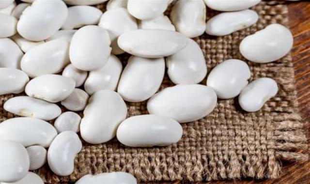 قیمت لوبیا عروس سفید + مشخصات بسته بندی عمده و ارزان