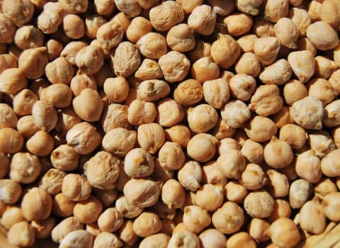 نخود بهاره کرمانشاه؛ دستچین زودپز درشت مناسب فلافل آبگوشت