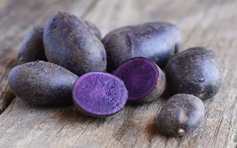 سیب زمینی بنفش ژاپنی؛ بافت متراکم مدل کشیده 2 متر زیر خاک