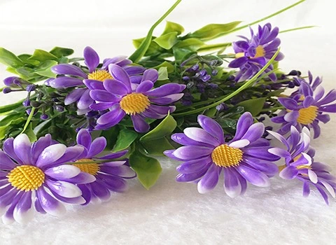 بهترین گل بابونه بنفش + قیمت خرید عالی