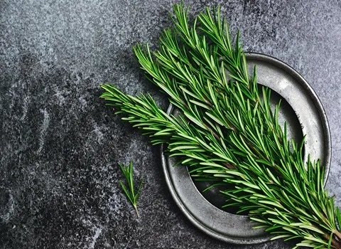 قیمت رزماری در تهران