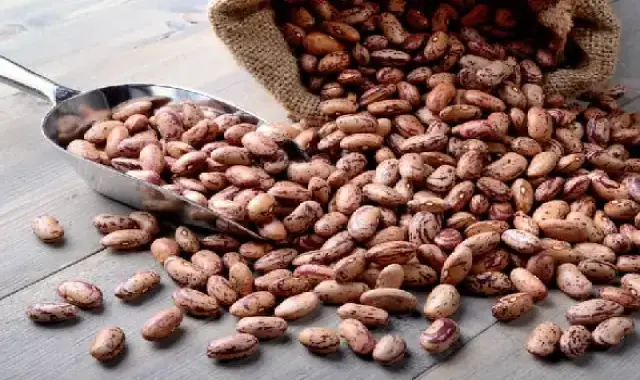 لوبیا چیتی خام؛ توپر خوش رنگ حاوی ویتامین Protein