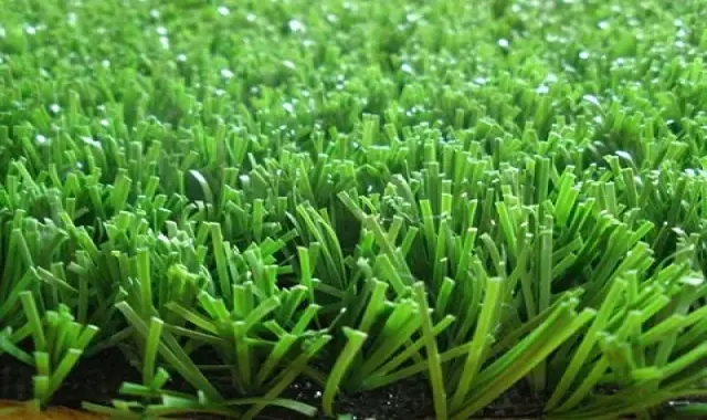 گرانول لاستیک چمن مصنوعی؛ ضد آب ارتجاعی نرم زمین ورزشی Iran