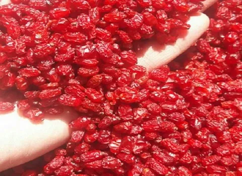 قیمت زرشک پفکی کیلویی