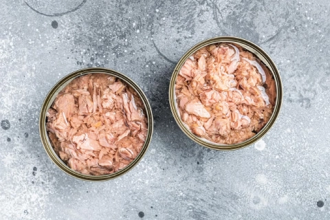 خرید عمده تن ماهی شیلانه با بهترین شرایط