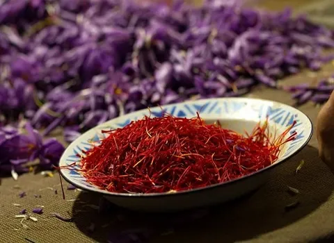 خرید جدیدترین انواع زعفران پرایمر از معتبرترین برندهای دنیا