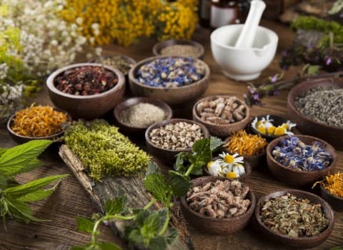 گیاهان دارویی یکساله؛ ریحان بابونه مرزنجوش 2 رنگ سبز بنفش