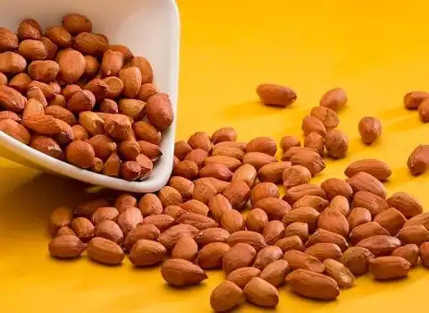 خواص بادام زمینی