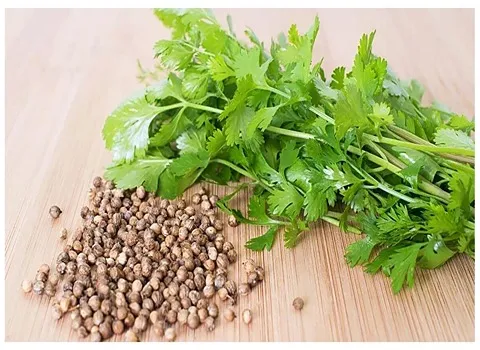 خرید بذر گشنیز برای لاغری با قیمت استثنایی