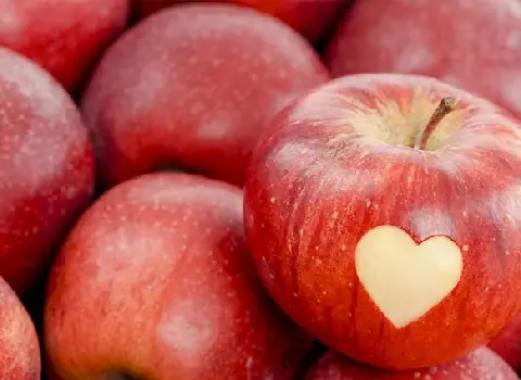 سیب درختی | فروشندگان قیمت مناسب سیب درختی