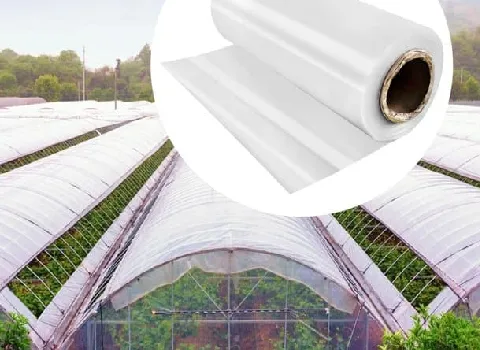 قیمت نایلون گلخانه ای در قزوین از تولید به مصرف