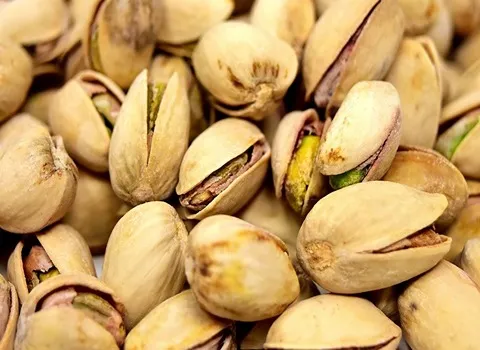 پسته گناباد؛ اکبری فندوقی کله قوچی حجم بسته 0.5 2 کیلویی