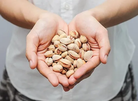 پسته روز ایران؛ طبع گرم 3 طعم خام شور بو داده استحکام استخوان