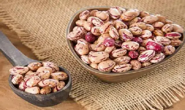 خرید بهترین انواع لوبیا چیتی با قیمت ارزان