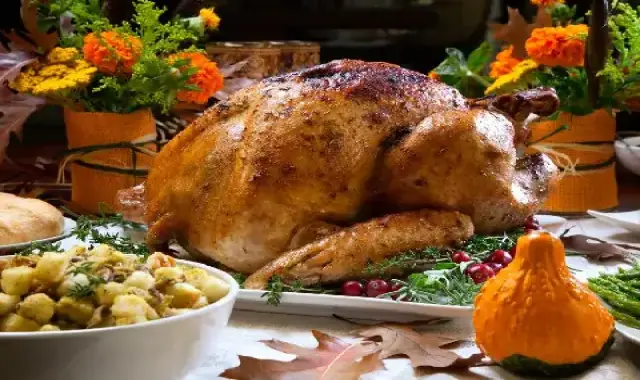 لیست قیمت گوشت بوقلمون به صورت عمده در بازار