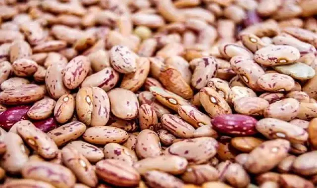 لوبیا چیتی بزرگ (حبوبات) جایگزین گوشت تامین انرژی حاوی فیبر Protein