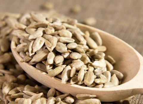 راهنمای خرید مغز تخمه سرکه ای با شرایط ویژه و قیمت استثنایی