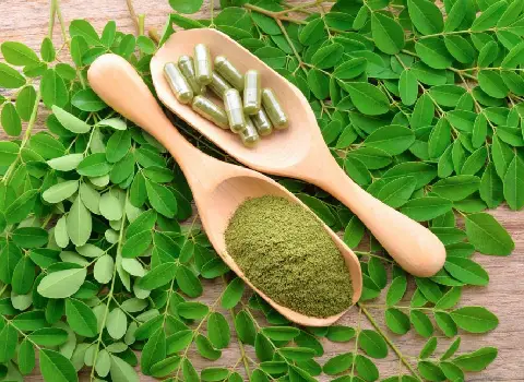 گیاه مورینگا (آیورودا) پودر روغن دزفول هرمزگان Antioxidants