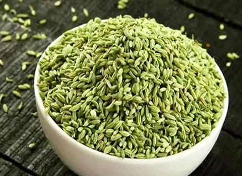 انواع گیاه رازیانه + قیمت خرید، کاربرد، مصارف و خواص