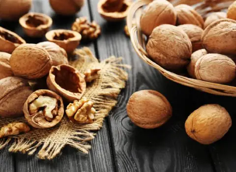 مغز گردو چینی همراه با توضیحات کامل و آشنایی