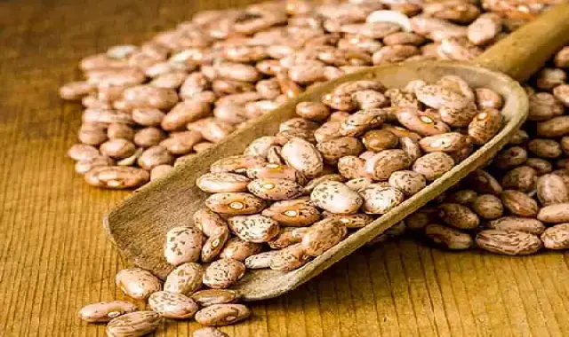 قیمت خرید لوبیای چیتی خمین + تست کیفیت