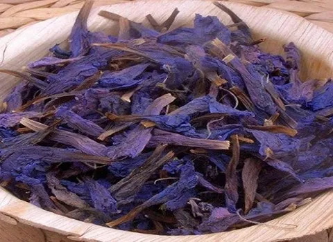 خواص گل گاوزبان + قیمت خرید