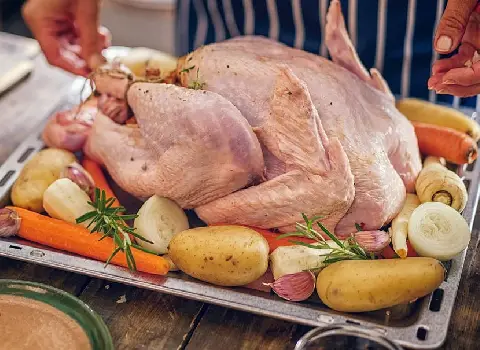 قیمت گوشت بوقلمون + خرید انواع متنوع بوقلمون